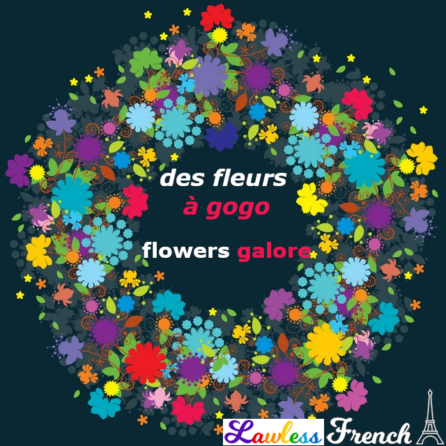 Fleurs à gogo