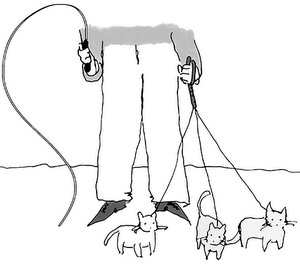 Avoir d'autres chats à fouetter