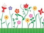 Colorful flowers