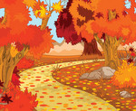 Autumn forest