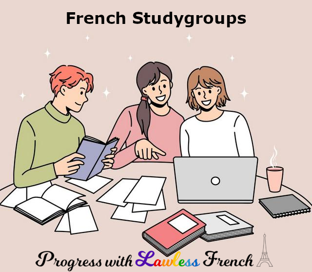 Online French studygroups