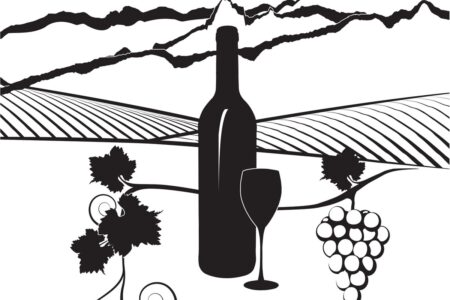 Wine <i>à fond</i>